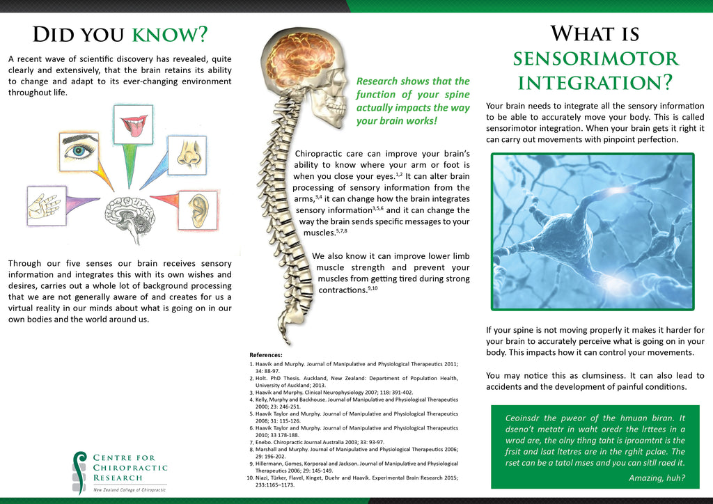 Brochure - The Effects of an Adjustment