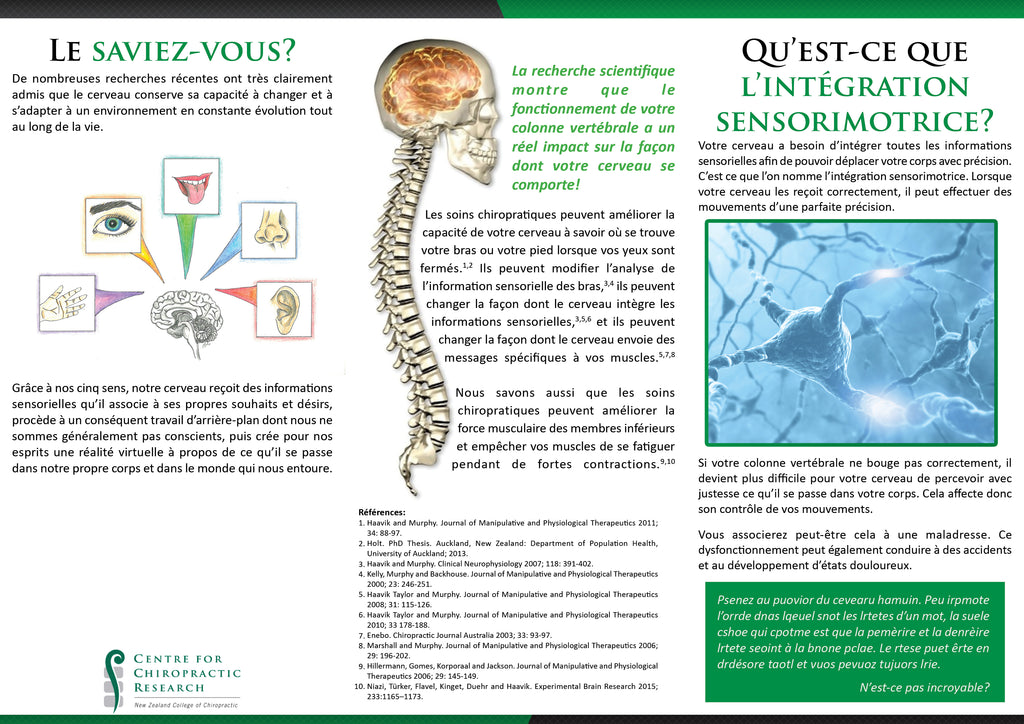 Brochure - The Effects of an Adjustment