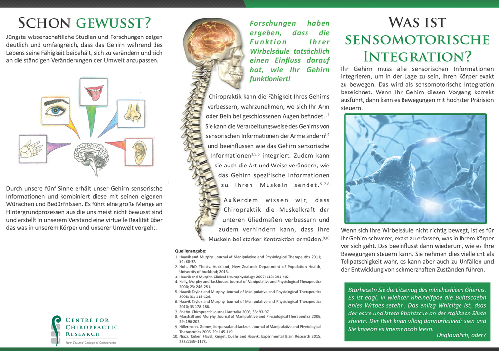 Brochure - The Effects of an Adjustment